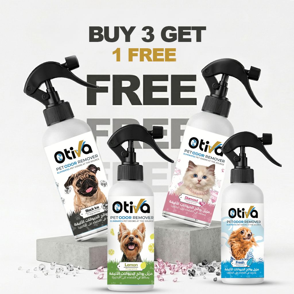Buy 3 Get 1 Free