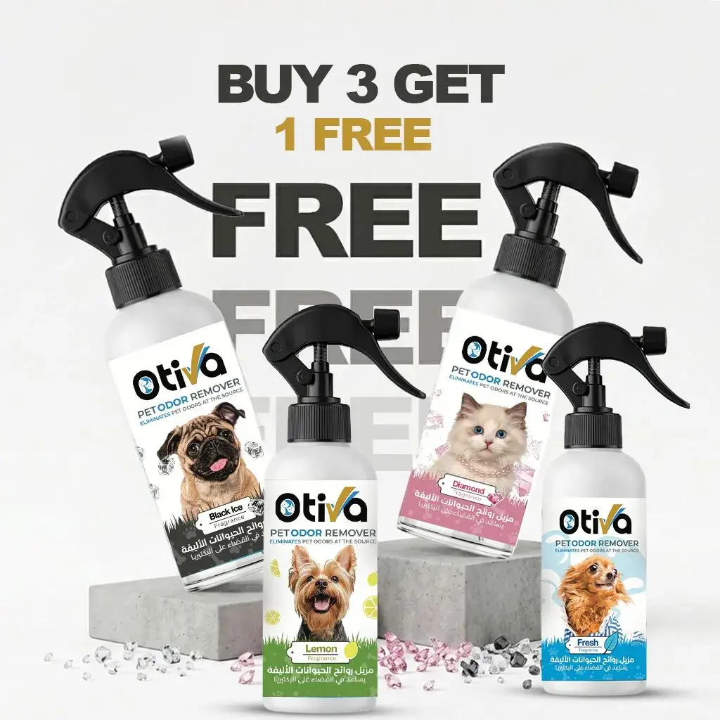 Buy-3-Get-1-Free