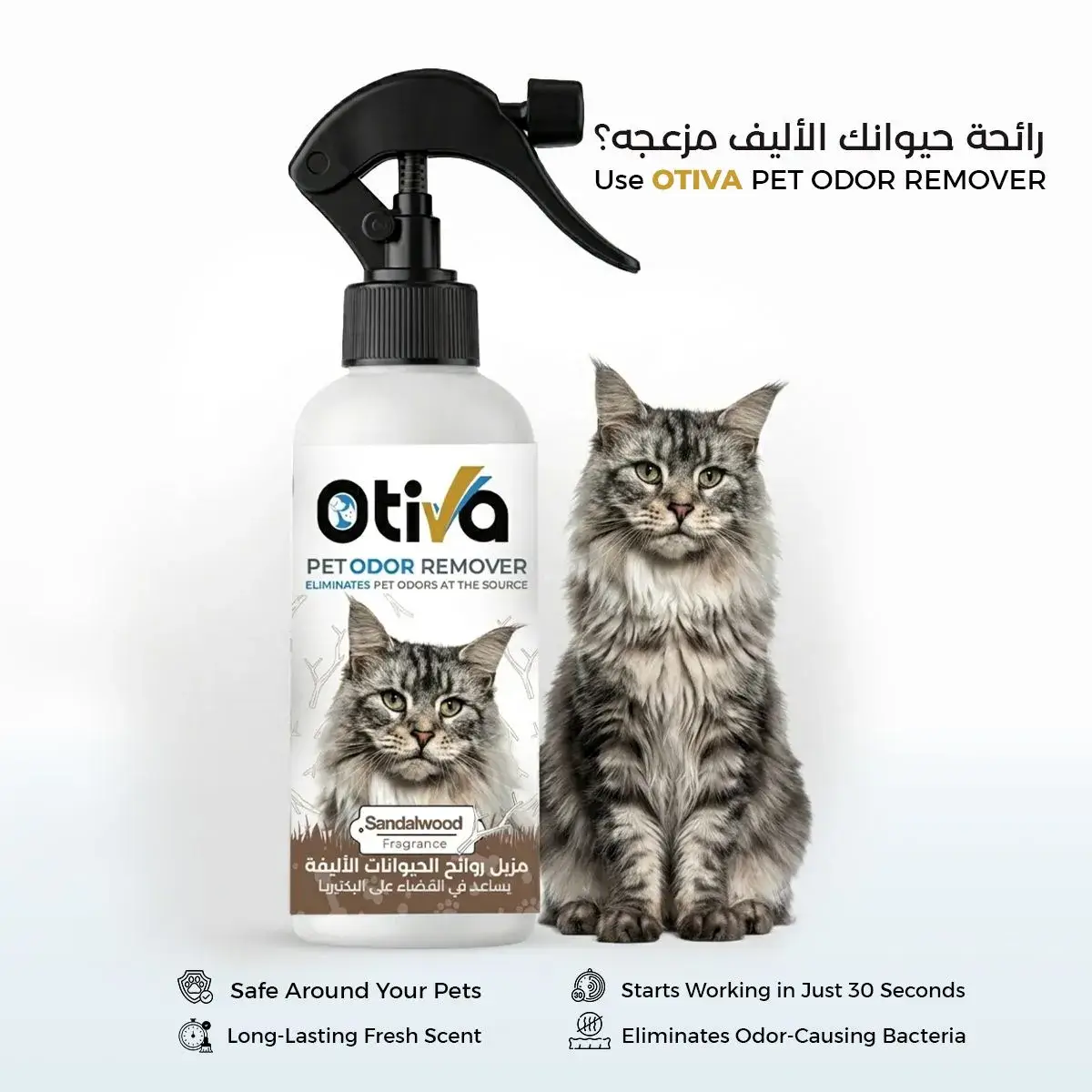 Otiva sandalwood - Image 2