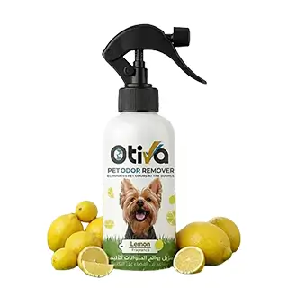 LEMON-FRAGRANCE1